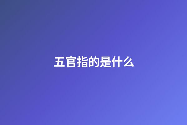 五官指的是什么