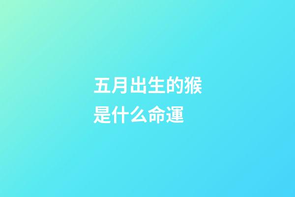 五月出生的猴是什么命運(出生在這些年月的人，天生龍鳳命，40歲前必發家致富)-第1張-觀點-玄機派