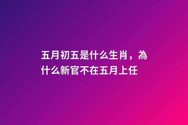 五月初五是什么生肖，為什么新官不在五月上任-第1張-觀點-玄機派