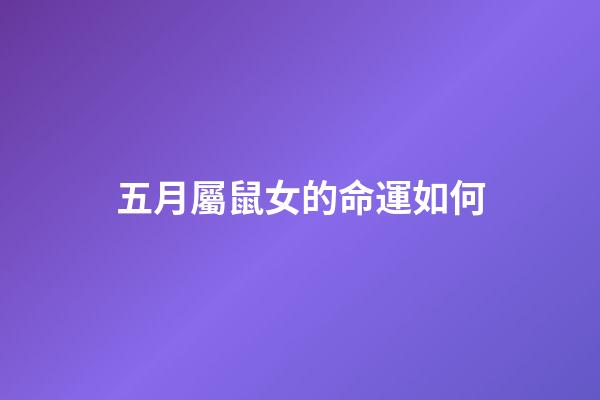 五月屬鼠女的命運如何(屬鼠人：5月25運勢解析)-第1張-觀點-玄機派
