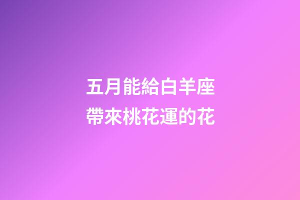 五月能給白羊座帶來桃花運的花-第1張-星座運勢-玄機派