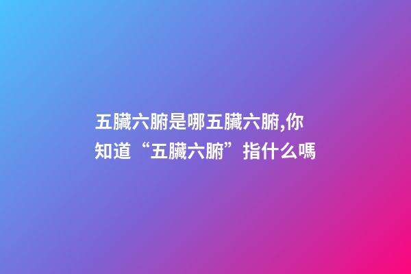 五臟六腑是哪五臟六腑,你知道“五臟六腑”指什么嗎-第1張-觀點-玄機派