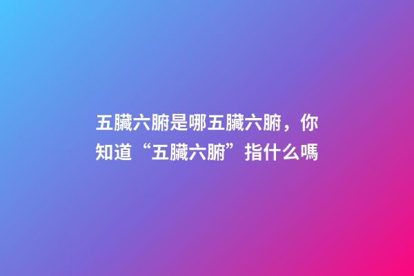 五臟六腑是哪五臟六腑，你知道“五臟六腑”指什么嗎-第1張-觀點-玄機派