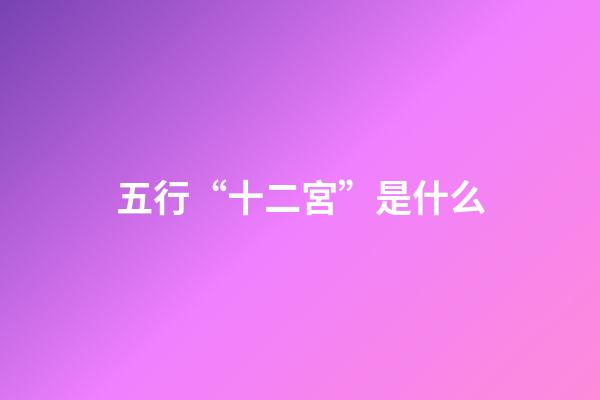 五行“十二宮”是什么?