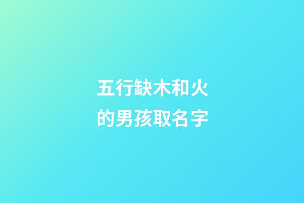 五行缺木和火的男孩取名字(五行缺木和火的男孩取名字大全)-第1張-男孩起名-玄機派