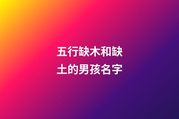 五行缺木和缺土的男孩名字(五行缺木和缺土的男孩名字一樣嗎)-第1張-男孩起名-玄機派