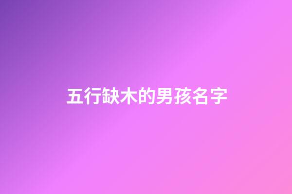 五行缺木的男孩名字