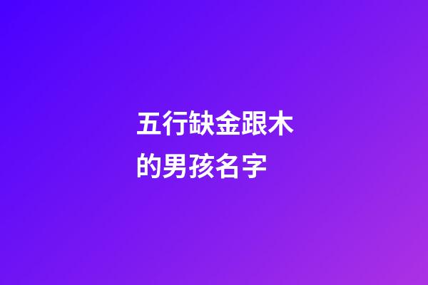 五行缺金跟木的男孩名字(缺金和木的名字男孩)-第1張-男孩起名-玄機派