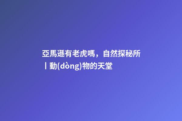 亞馬遜有老虎嗎，自然探秘所丨動(dòng)物的天堂-第1張-觀點(diǎn)-玄機(jī)派