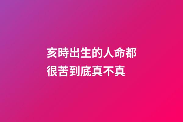 亥時出生的人命都很苦到底真不真