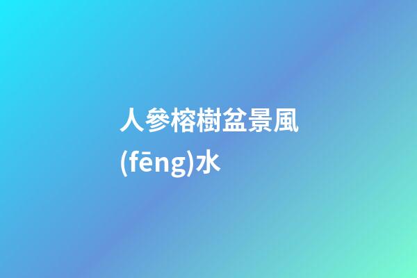 人參榕樹盆景風(fēng)水