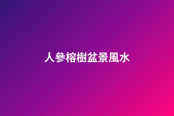 人參榕樹盆景風水