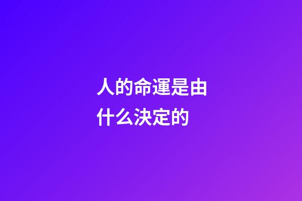人的命運是由什么決定的