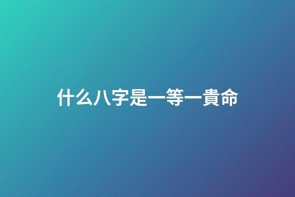 什么八字是一等一貴命