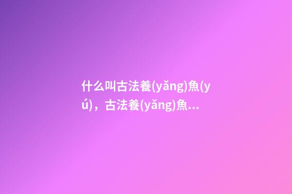 什么叫古法養(yǎng)魚(yú)，古法養(yǎng)魚(yú)應(yīng)該怎么養(yǎng)最好-第1張-觀點(diǎn)-玄機(jī)派