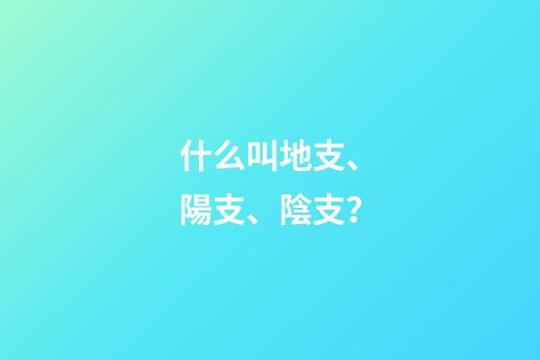 什么叫地支、陽支、陰支？