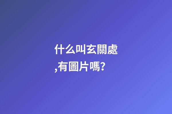 什么叫玄關處,有圖片嗎？