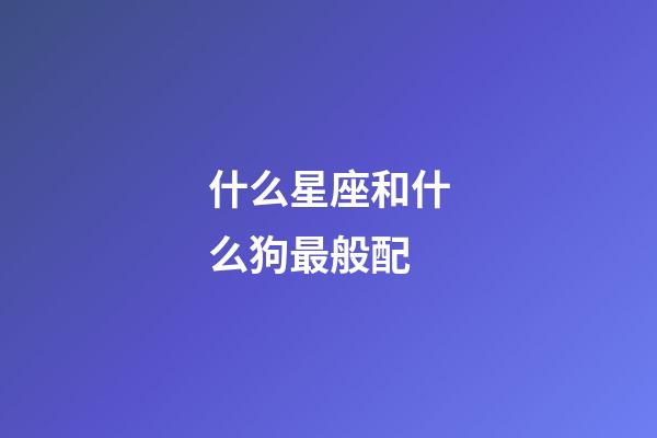 什么星座和什么狗最般配-第1張-星座運勢-玄機派