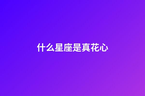 什么星座是真花心-第1張-星座運勢-玄機派