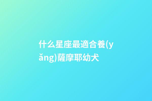 什么星座最適合養(yǎng)薩摩耶幼犬-第1張-星座運勢-玄機派