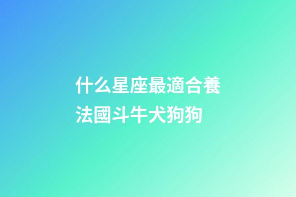 什么星座最適合養法國斗牛犬狗狗-第1張-星座運勢-玄機派