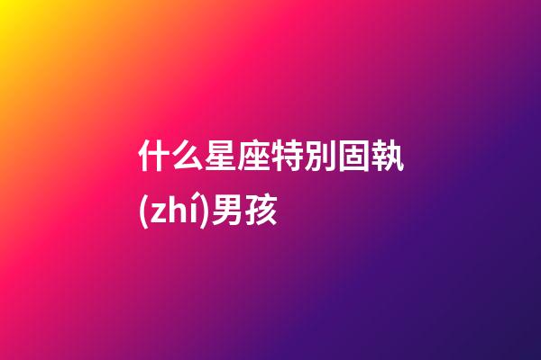 什么星座特別固執(zhí)男孩-第1張-星座運勢-玄機派