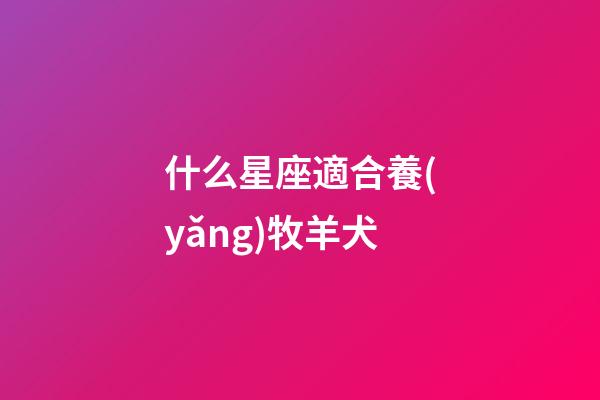 什么星座適合養(yǎng)牧羊犬-第1張-星座運勢-玄機派