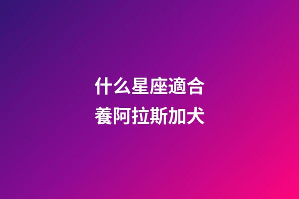 什么星座適合養阿拉斯加犬