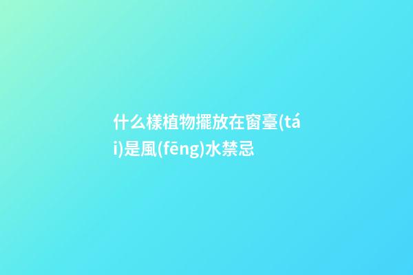 什么樣植物擺放在窗臺(tái)是風(fēng)水禁忌