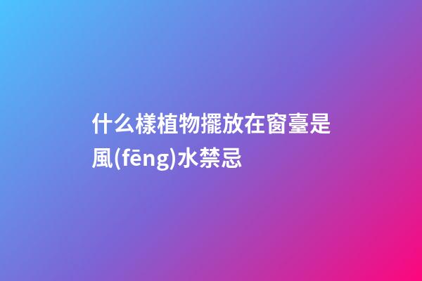 什么樣植物擺放在窗臺是風(fēng)水禁忌