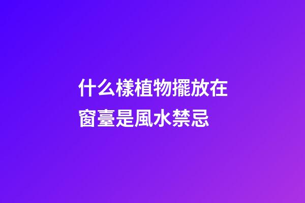 什么樣植物擺放在窗臺是風水禁忌