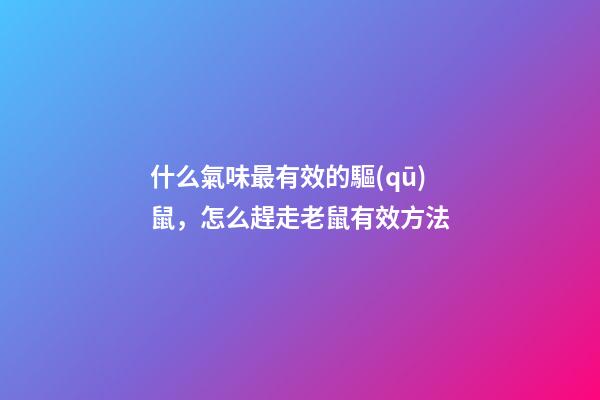 什么氣味最有效的驅(qū)鼠，怎么趕走老鼠有效方法-第1張-觀點(diǎn)-玄機(jī)派