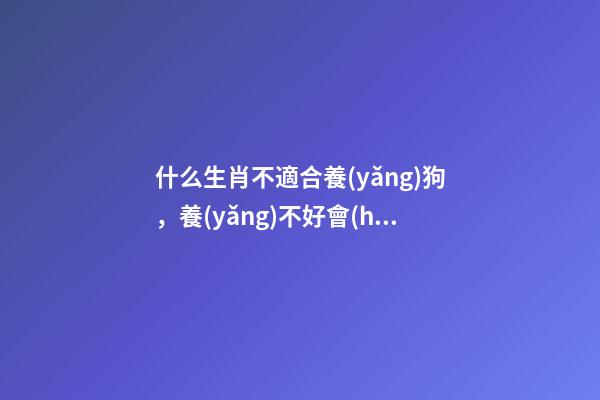 什么生肖不適合養(yǎng)狗，養(yǎng)不好會(huì)損害主人運(yùn)勢(shì)