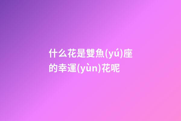 什么花是雙魚(yú)座的幸運(yùn)花呢-第1張-星座運(yùn)勢(shì)-玄機(jī)派