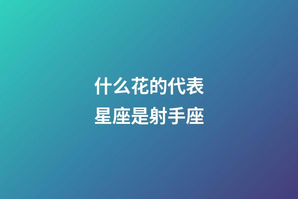 什么花的代表星座是射手座-第1張-星座運勢-玄機派