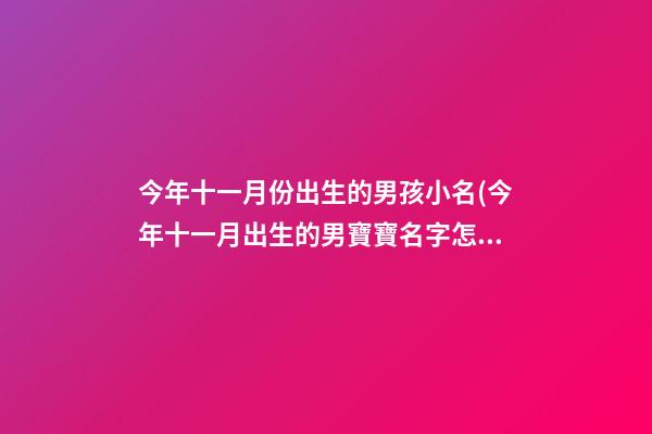 今年十一月份出生的男孩小名(今年十一月出生的男寶寶名字怎么起)