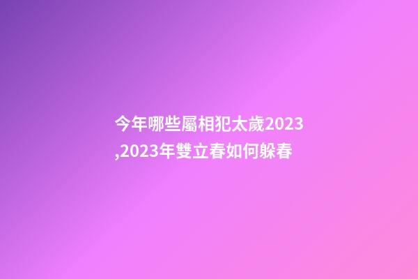 今年哪些屬相犯太歲2023,2023年雙立春如何躲春-第1張-觀點-玄機派