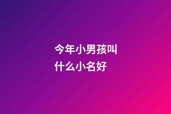 今年小男孩叫什么小名好(今年男孩小名叫什么好)-第1張-男孩起名-玄機(jī)派