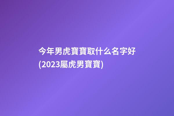 今年男虎寶寶取什么名字好(2023屬虎男寶寶)