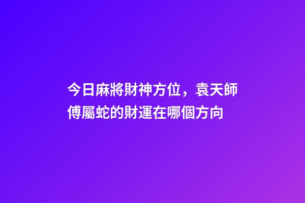 今日麻將財神方位，袁天師傅屬蛇的財運在哪個方向-第1張-觀點-玄機派