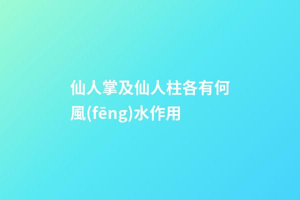 仙人掌及仙人柱各有何風(fēng)水作用?