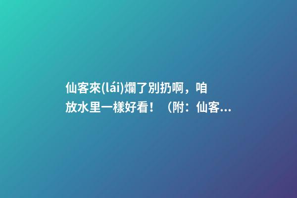 仙客來(lái)爛了別扔啊，咱放水里一樣好看！（附：仙客來(lái)的風(fēng)水作用）