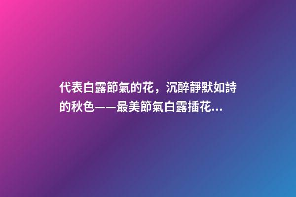 代表白露節氣的花，沉醉靜默如詩的秋色——最美節氣白露插花集萃-第1張-觀點-玄機派