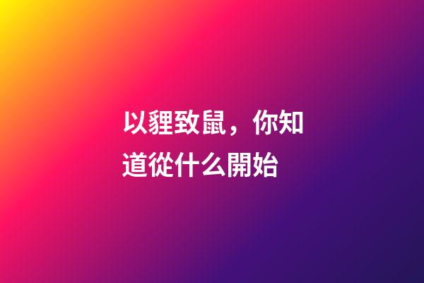 以貍致鼠，你知道從什么開始-第1張-觀點-玄機派