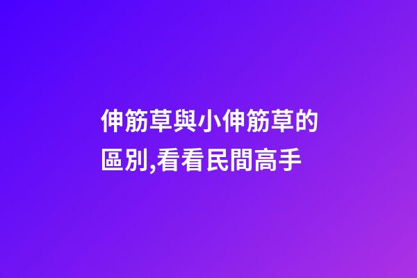 伸筋草與小伸筋草的區別,看看民間高手-第1張-觀點-玄機派