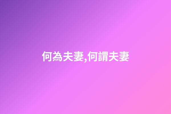 何為夫妻,何謂夫妻-第1張-觀點(diǎn)-玄機(jī)派
