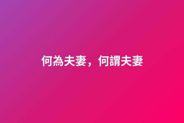 何為夫妻，何謂夫妻-第1張-觀點(diǎn)-玄機(jī)派
