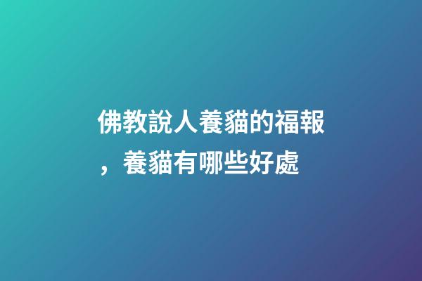 佛教說人養貓的福報，養貓有哪些好處