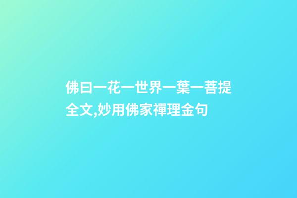 佛曰一花一世界一葉一菩提全文,妙用佛家禪理金句-第1張-觀點-玄機派