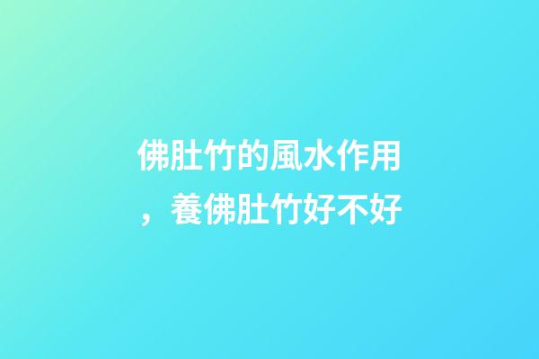 佛肚竹的風水作用，養佛肚竹好不好